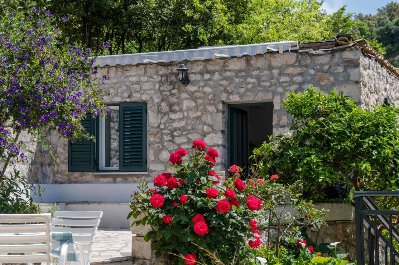 Villa Doris Zaton  Exterior photo