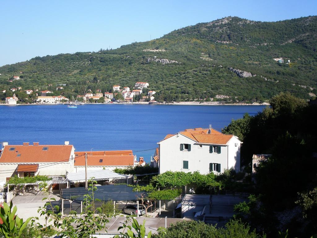 Villa Doris Zaton  Exterior photo