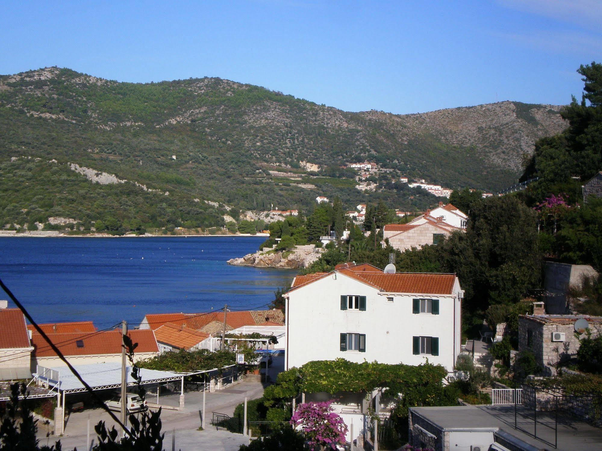 Villa Doris Zaton  Exterior photo